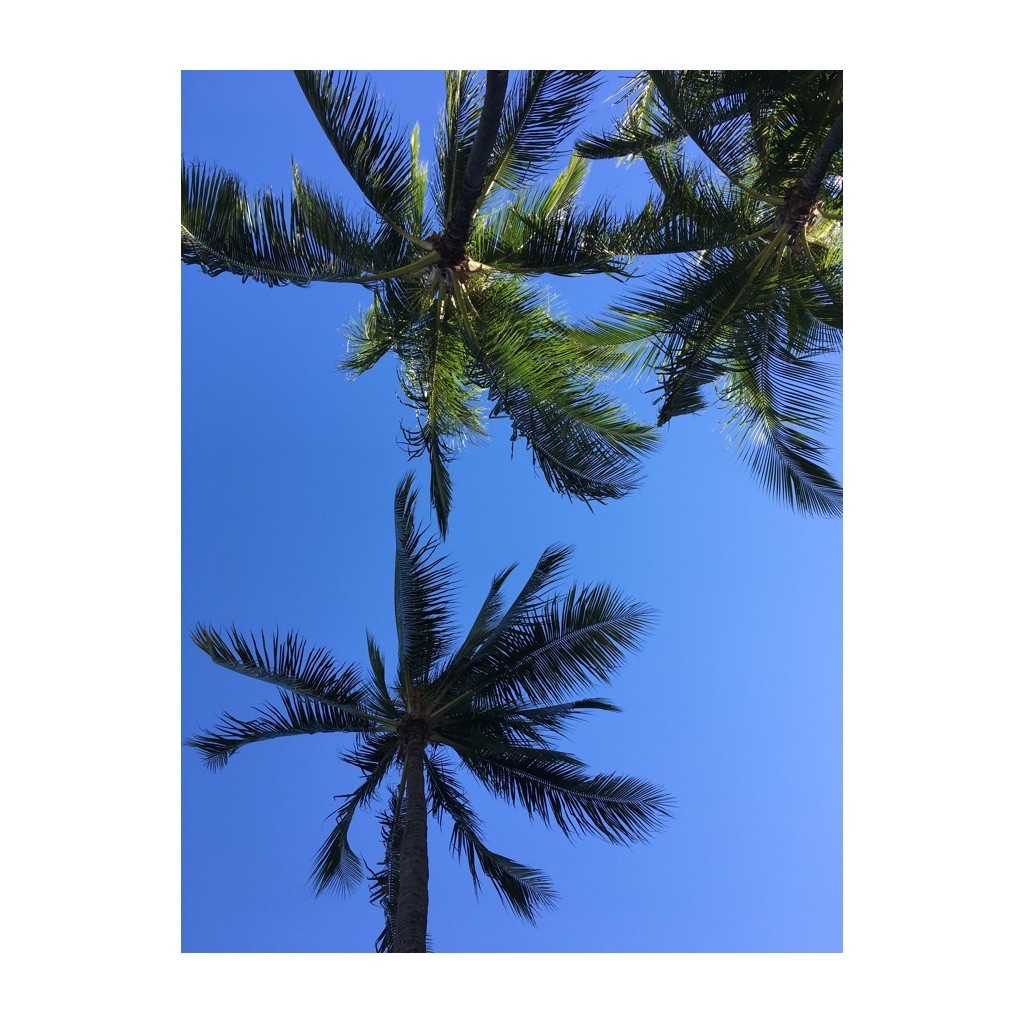 header